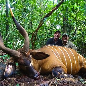 Congo Bongo Hunting