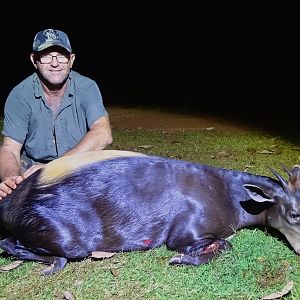 Congo Blue Duiker Hunt