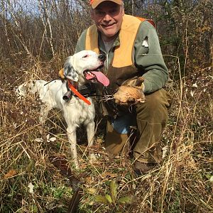 Woodcock Bird Hunt