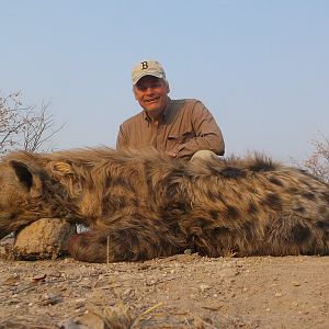 Spotted Hyena Hunt in Namibia