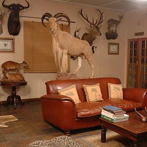 South Africa Lodge Hunting