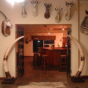 Hunting South Africa Lodge