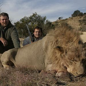 Hunting Lion in South Africa