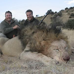 Hunting Lion in South Africa