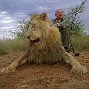 Hunting Lion in South Africa