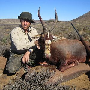 Hunting Blesbok South Africa