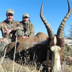 Hunting Blesbok South Africa