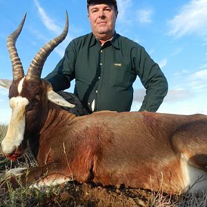 Hunting Blesbok South Africa