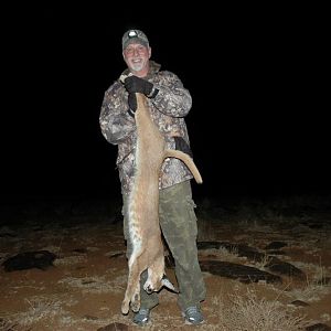 Hunting Caracal in South Africa