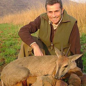 Duiker Hunting South Africa