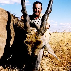 South Africa Hunting Eland