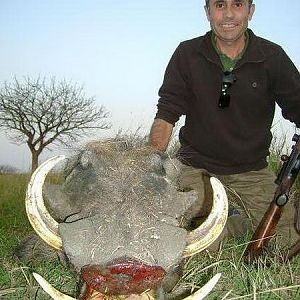 South Africa Warthog Hunt