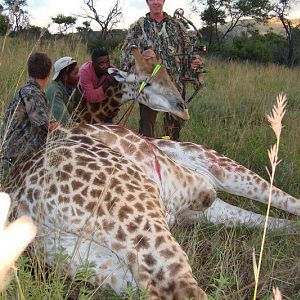 South Africa Giraffe Hunting