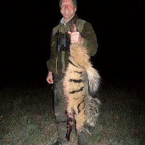 Aardwolf South Africa Hunt