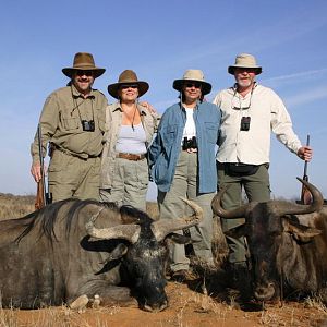 South Africa Blue Wildebeest Hunting