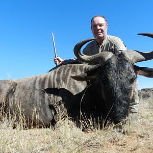 South Africa Blue Wildebeest Hunting