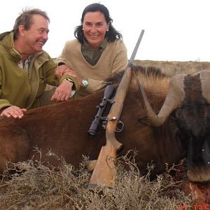 Hunt Black Wildebeest South Africa