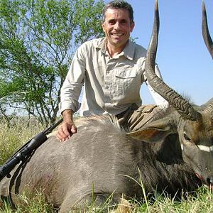 Nyala Hunt South Africa