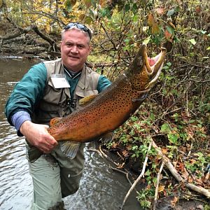 Brown Trout Fishing