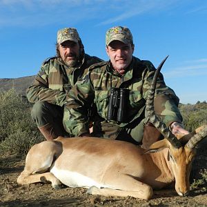 Hunting Impala South Africa