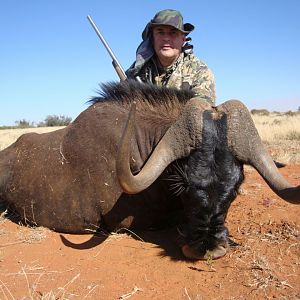 Hunt Black Wildebeest South Africa