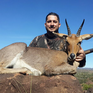 Hunting Mountain Reedbuck South Africa