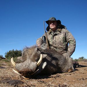 South Africa Warthog Hunt