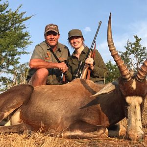 Hunting Blesbok South Africa