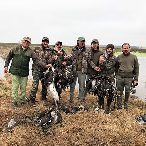 Argentina Bird Hunting