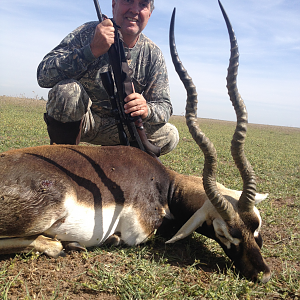 Blackbuck Argentina Hunt