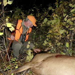 Elk Hunting