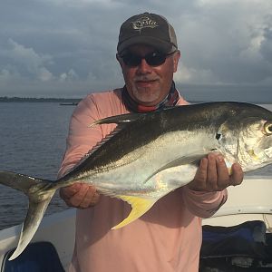 Jack Crevalle Fishing