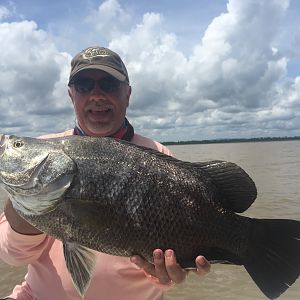 Fishing Tripletail