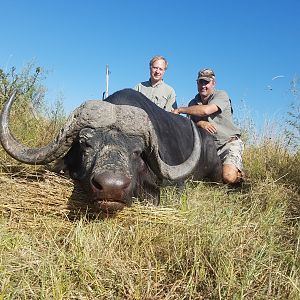 Cape Buffalo Hunt