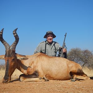 Red Hartebeest Hunt South Africa