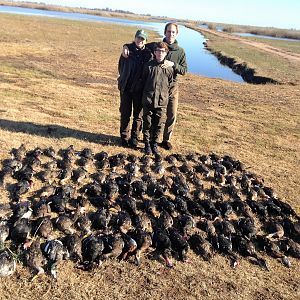 Argentina Bird Hunting