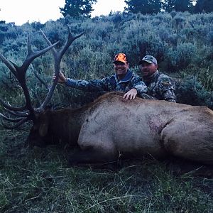 Utah Elk Hunting