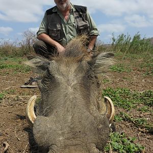 South Africa Warthog Hunt