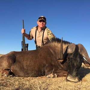 Hunt Black Wildebeest South Africa