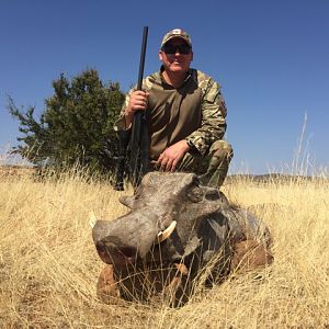 South Africa Warthog Hunt