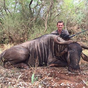 South Africa Blue Wildebeest Hunting