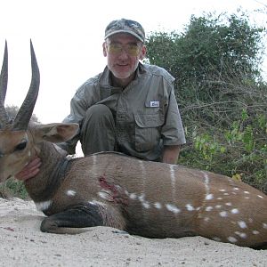 Harnessed Bushbuck Hunting Zimbabwe