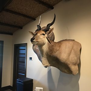 Warren Wildlife Gallery