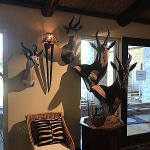 Warren Wildlife Gallery