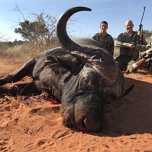 South Africa Cape Buffalo Hunt