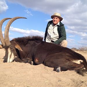 Hunting South Africa Sable