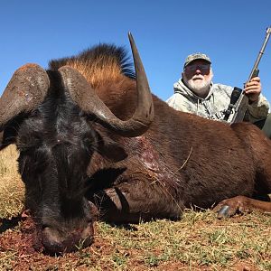 Hunt Black Wildebeest South Africa