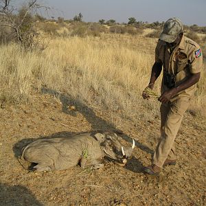 Adab rigging my warthog for photos