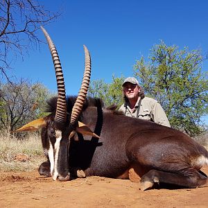 Hunt South Africa Sable Antelope