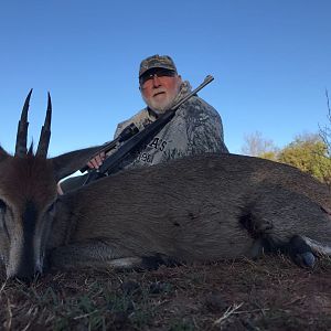 Duiker Hunting South Africa